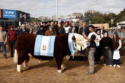 El jurado Carlos Curone anunció su veredicto y consagró como Gran Campeón Macho Hereford al box 994, de la cabaña San Maron, ubicada en Espartillar, provincia de Buenos Aires