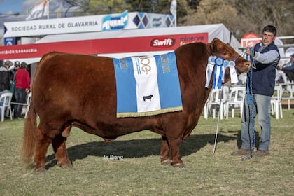 El jurado Manuel López: “No tengo dudas de que estos toros, más algunos que han quedado afuera, representan muy bien a la raza y demuestran que se está trabajando de una manera excelente”
