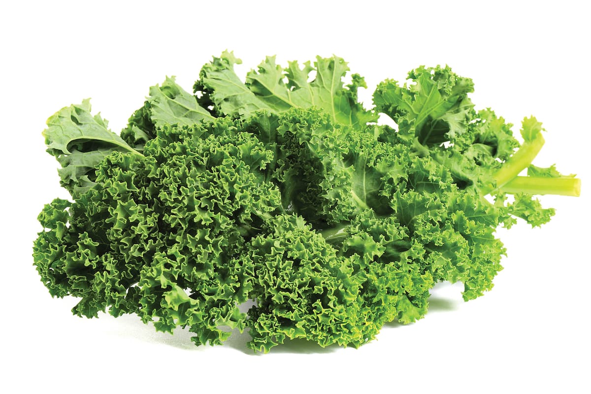 El kale, un vegetal de la familia de las coles.