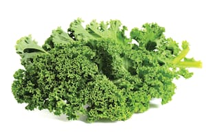 El kale, un vegetal de la familia de las coles.