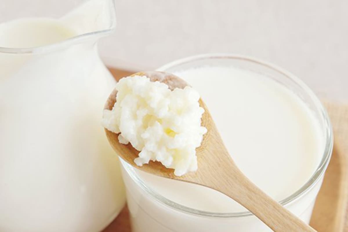 El kéfir se obtiene a través de la fermentación de la leche por medio de un cultivo de bacterias y levaduras