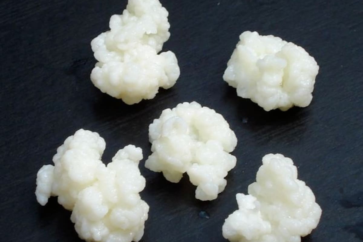 El Kéfir se parece mucho al coliflor ¿no?