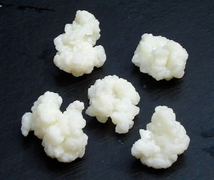Los fermentos tradicionales, como el kéfir, se consideran beneficiosos, pero no son probióticos en el sentido estricto