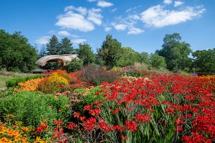El Kew-Carbon Garden en verano, un jardín creado para explicar el ciclo del carbono y el papel de las plantas y hongos frente al cambio climático