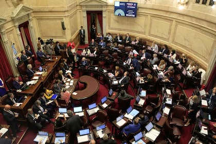 El kirchnerismo logró la sanción de la ley con el apoyo de sus aliados