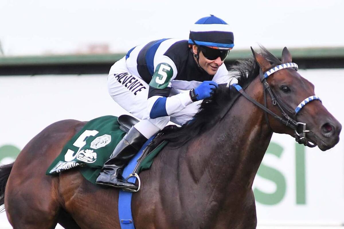 El Kodigo viene de ganar la Copa de Oro y es el principal referente local en el Pellegrini; le tocó la gatera 20, por fuera de todos sus rivales.