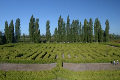 El laberinto borgeano está ubicado en la Finca Los Álamos, en San Rafael, Mendoza