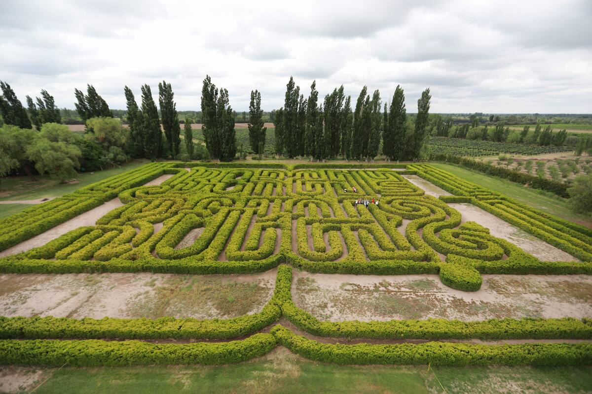 El laberinto, como homenaje a Borges, en la estancia Los Álamos