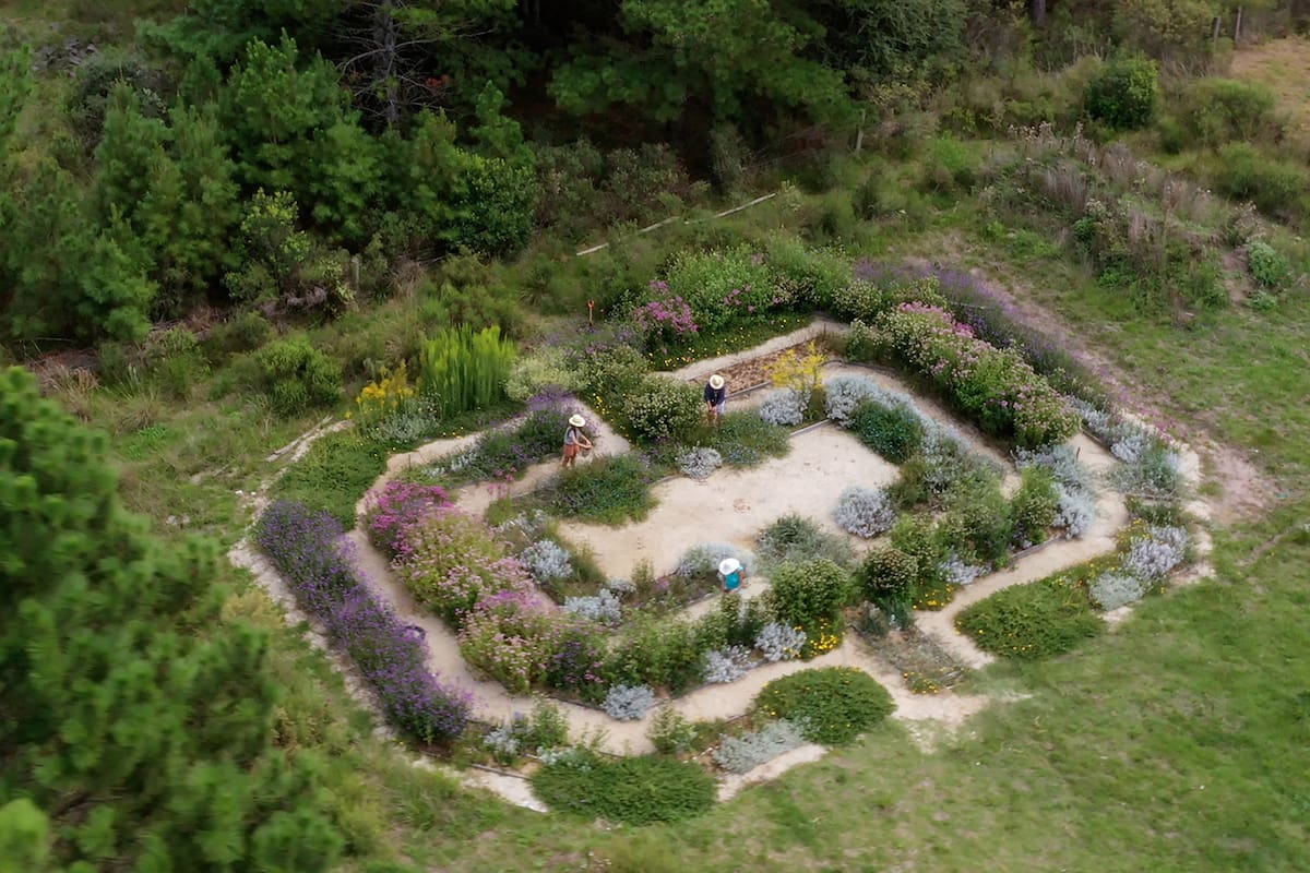 El laberinto de flores está ubicado en el polo educativo tecnológico Arrayanes en Maldonado, Uruguay. Es un espacio de investigación, cosecha, educación y disfrute.