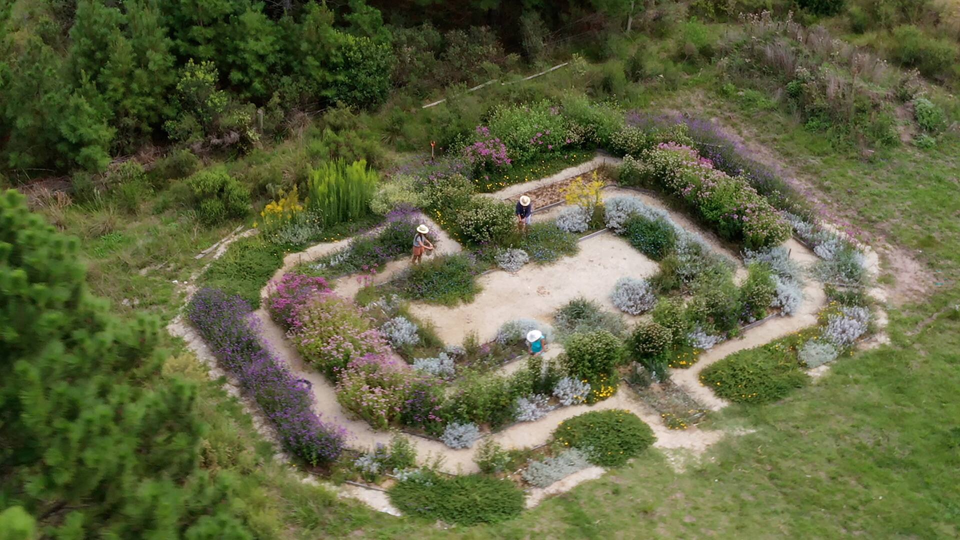 El laberinto de flores está ubicado en el polo educativo tecnológico Arrayanes en Maldonado, Uruguay. Es un espacio de investigación, cosecha, educación y disfrute.