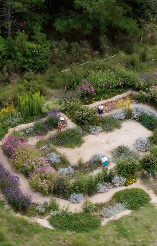 El laberinto de flores está ubicado en el polo educativo tecnológico Arrayanes en Maldonado, Uruguay. Es un espacio de investigación, cosecha, educación y disfrute.