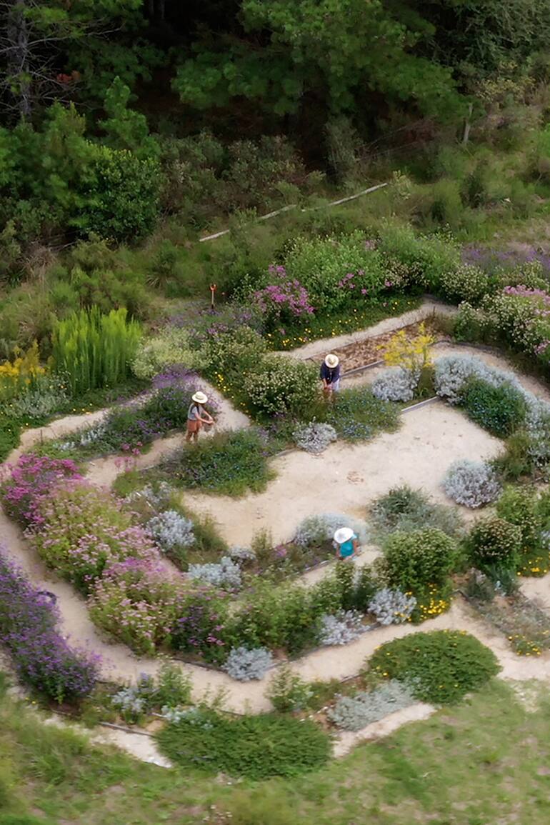 El laberinto de flores está ubicado en el polo educativo tecnológico Arrayanes en Maldonado, Uruguay. Es un espacio de investigación, cosecha, educación y disfrute.