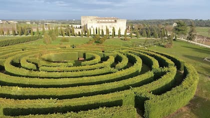 El laberinto del Castillo del Buen Amor es una obra de la jardinería moderna que invita a un recorrido lleno de fantasías.