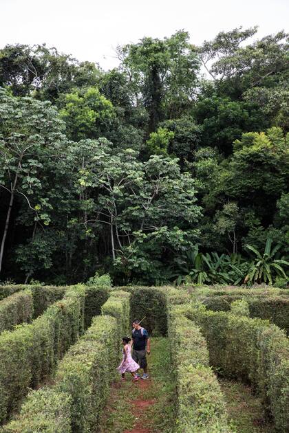 El laberinto fue diseñado por Guillermo Baden, un productor de flores local. Muy cerca de allí, la visita al orquidario del parque es un alto obligado.