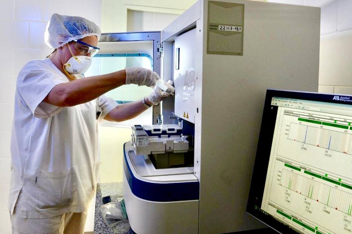 El laboratorio de ADN de la Dirección de Criminalística Forense de Gendarmería, en plena tarea