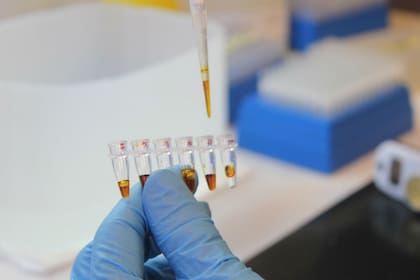 El laboratorio de la entidad realiza diversas pruebas genéticas