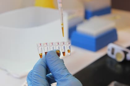 Neogen cuenta con una sede en la Argentina, lo que facilitará la recolección de las muestras y los trámites de envíos al exterior