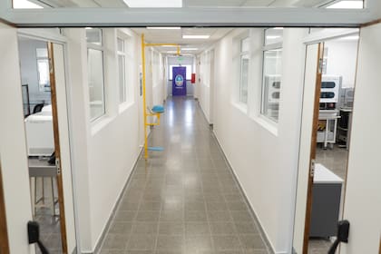 El Laboratorio Núcleo (LabNu), cuya superficie es de 908 metros cuadrados, está en el Hospital José Néstor Lencinas
