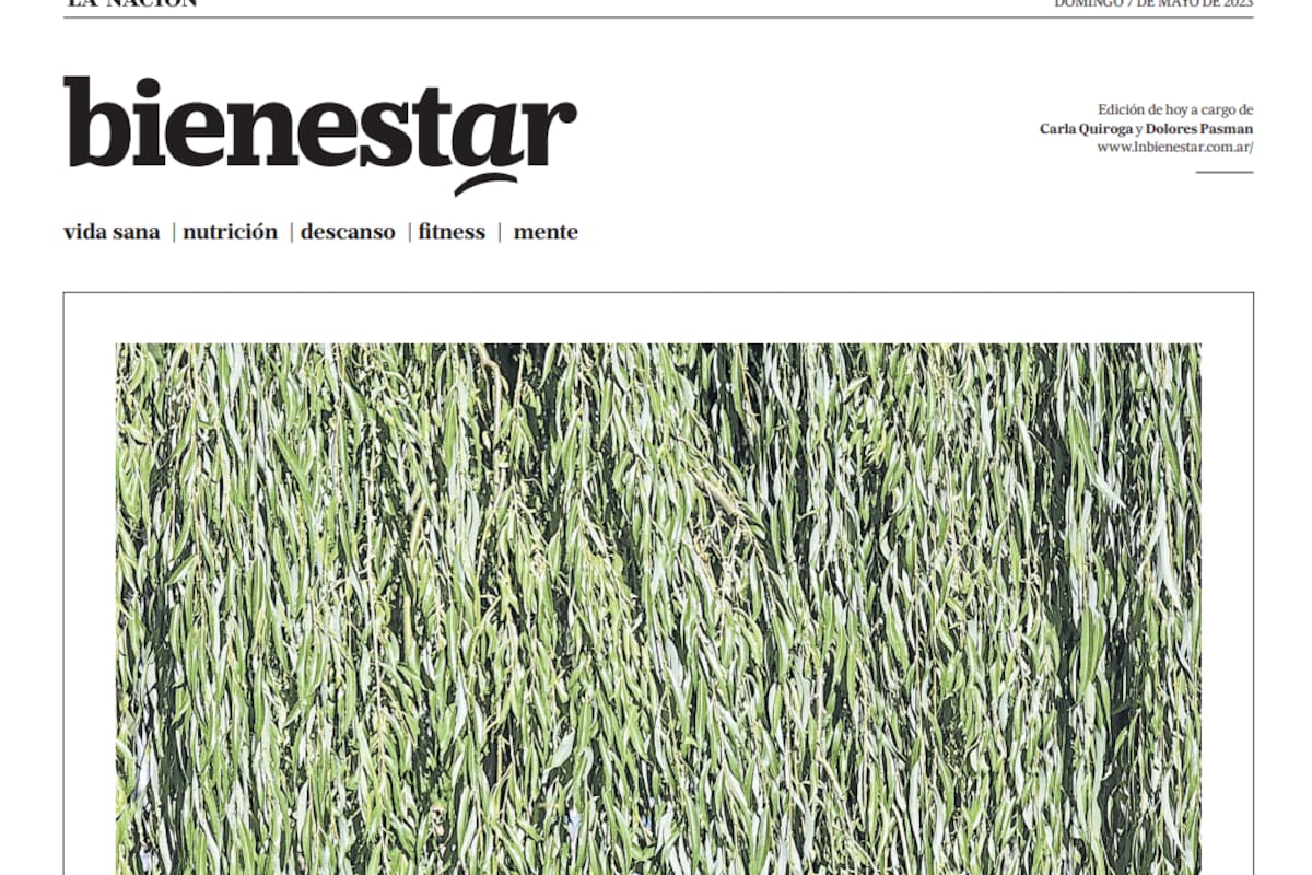 El lado b de la vida cotidiana, ahora en el diario del domingo con Bienestar