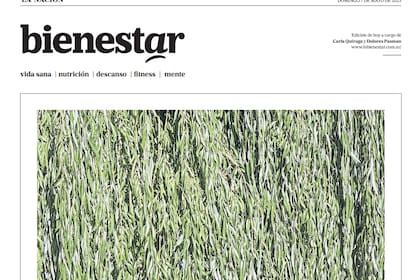El lado b de la vida cotidiana, ahora en el diario del domingo con Bienestar