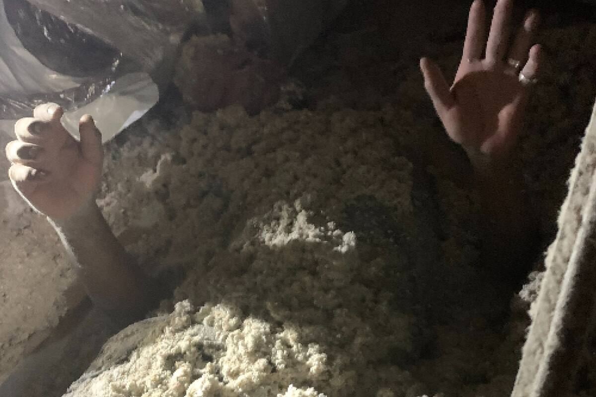 El ladrón fue descubierto por las autoridades mientras intentaba esconderse en aislante para construcción