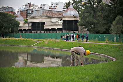 El lago Darwin fue reacondicionado para generar el efecto de un humedal pampeano; en el nuevo espacio no habrá animales en exhibición