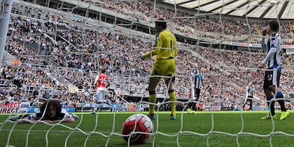 El lamento de Coloccini tras el gol en contra