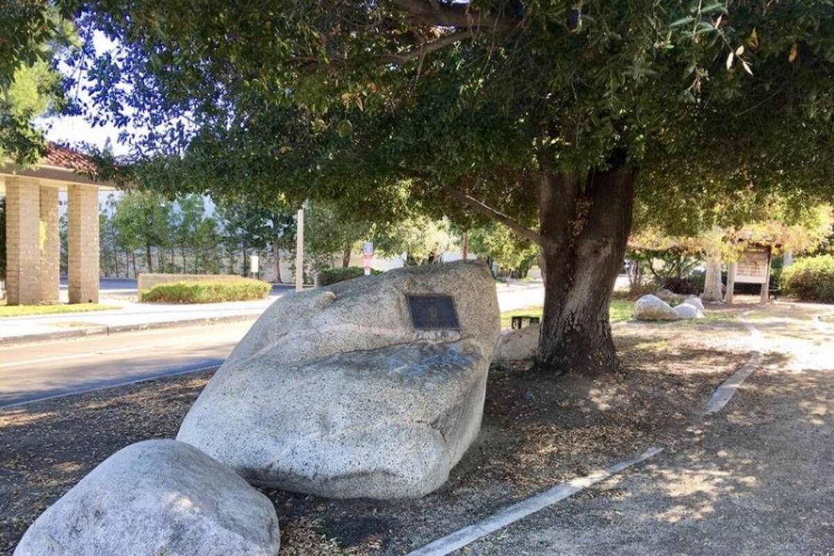 El Lang Oak fue declarado en 1963 como monumento histórico cultural