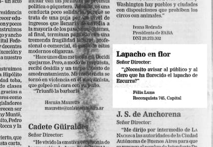 El lapacho de Ezcurra tomó notoriedad con las cartas de lectores que Félix Luna enviaba a LA NACION anunciando la floración del ejemplar