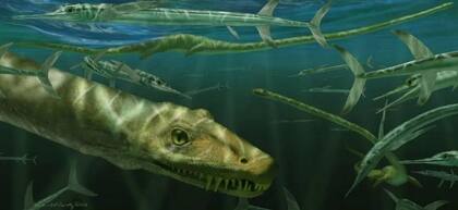 El largo cuello del Dinocephalosaurus orientalis es una de sus principales características.