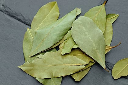 El laurel también se vincula simbólicamente con el logro de metas