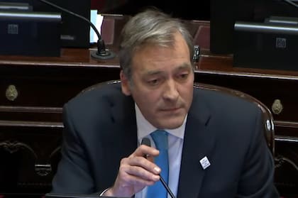 El legislador rionegrino cargó contra la gestión libertaria
