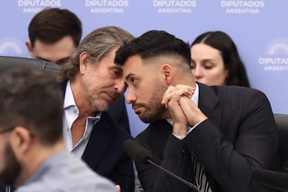 El libertario Benegas Lynch reemplazó al frente de la comisión de Presupuesto y Hacienda a José Luis Espert; en un tramo del debate, intercambio en secreto con Alejandro Cacace, secretario de Desregulación y alfil de Sturzenegger