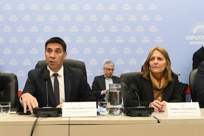 El libertario Facundo Correa Llano, presidente de la Comisión de Energía, junto con la secretaria de Energía, María Tettamanti
