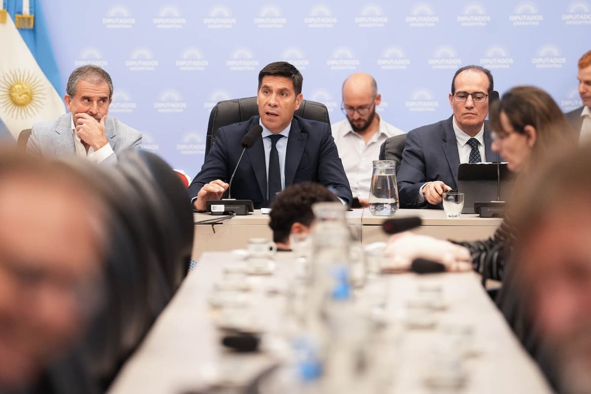 El libertario Facundo Correa Llano, presidente del plenario, no logró dictaminar la media sanción que llegó del Senado sobre aumentar el corte de biocombustibles