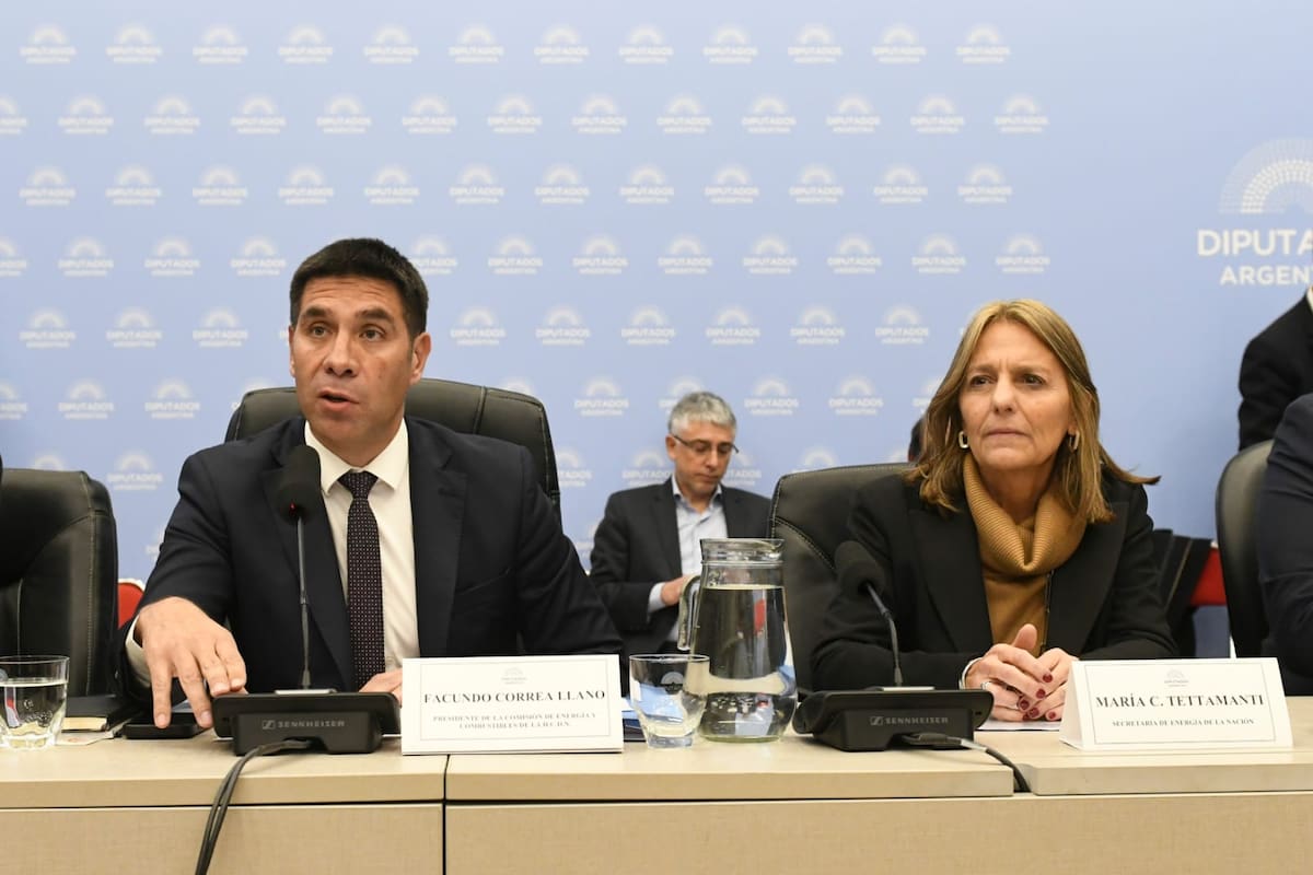 El libertario Facundo Correa Llano, presidente del plenario, junto con la secretaria de Energía, María Tettamanti