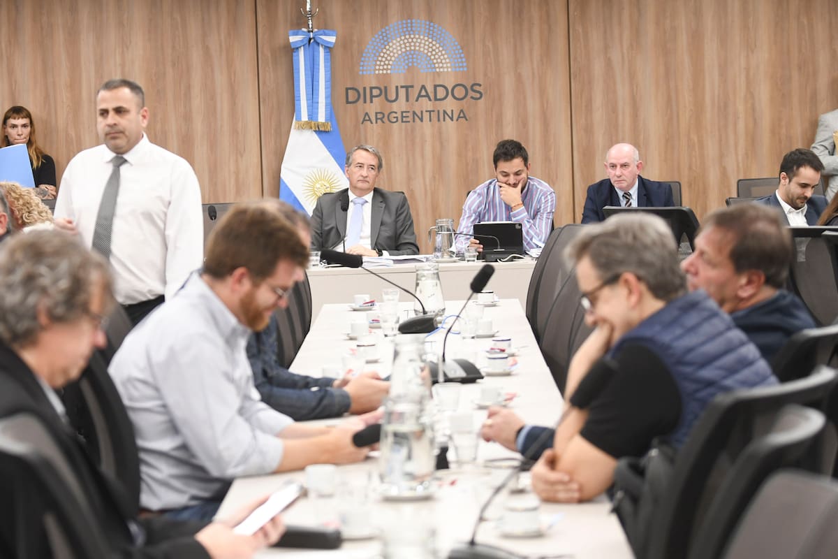 El libertario Nicolás Mayoraz encabezó la reunión de la Comisión de Asuntos Constitucionales y Peticiones, Poderes y Reglamento de la Cámara de Diputados