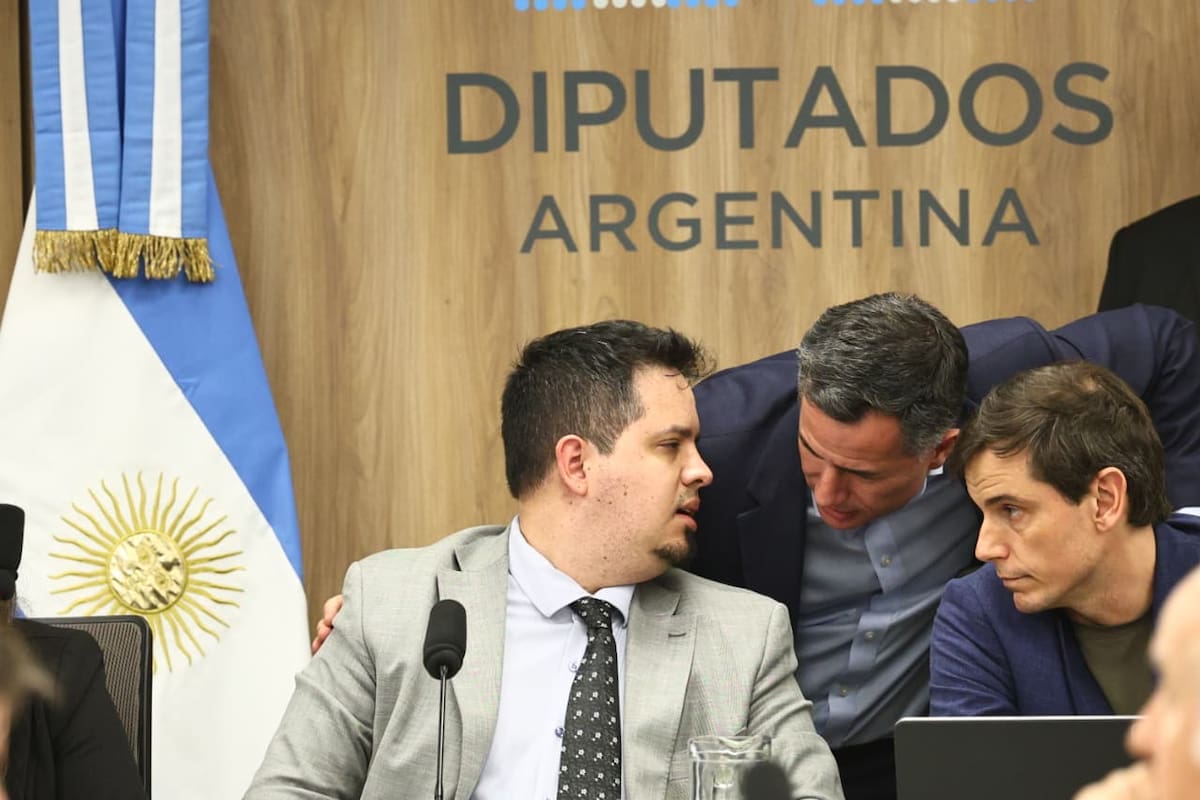 El libertario Santiago Pauli, presidente de la Comisión de Finanzas, conversa con el jefe del bloque oficial, Gabriel Bornoroni