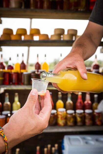 El licor de butiá de uno de los puestos de la Vuelta al Palmar, sobre la ruta 9