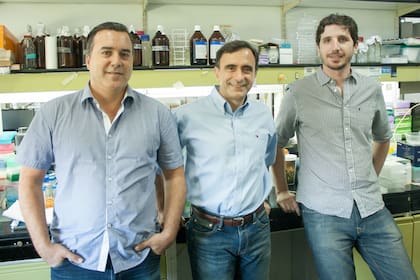 El líder del estudio, doctor Jorge Casal (centro), del IFEVA y del Instituto Leloir, el doctor Juan Ignacio Cagnola (der.), del IFEVA, y el doctor José Estévez, del Instituto Leloir.