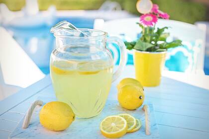 El limón, gran aliado de los riñones (Foto: Pixabay)