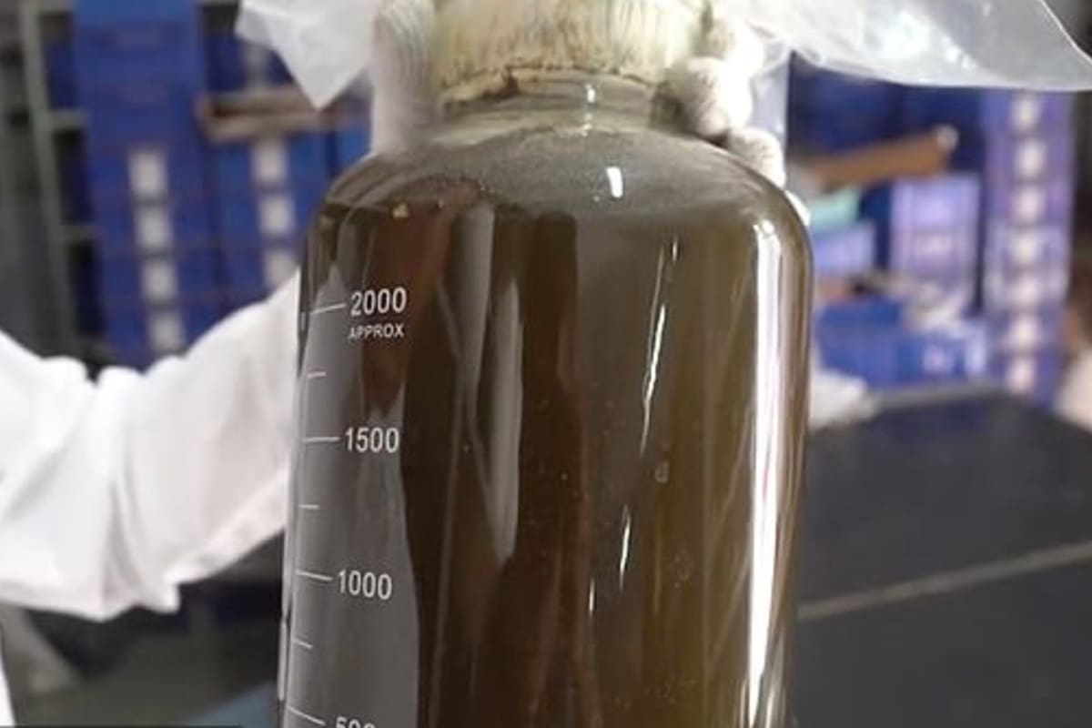 El líquido, de color marrón y con algunas impurezas, sorprendió a los arqueólogos que lo hallaron en una tumba de la provincia de Henan, y fue enviado para ser analizado