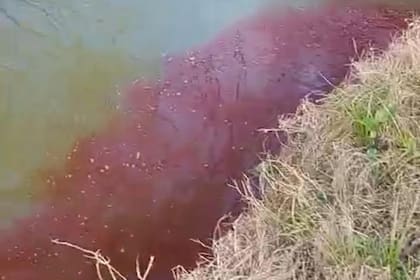 El líquido rojo que desembocó en el río Areco