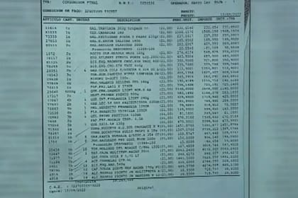 El listado de gastos de Cinthia Fernández
