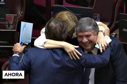El llamativo abrazo que Luis Naidenoff, Anabel Fernández Sagasti y José Mayans compartieron al finalizar la sesión