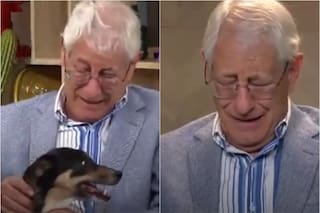 El drama de César, un ciudadano español que por problemas de salud debió encontrar una nueva familia para su perrito