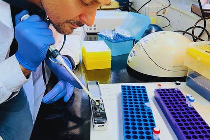 El logro científico podría ayudar al combate de la plaga