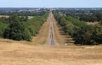El Long Walk, el paseo arbolado que conduce al castillo —una residencia especialmente apreciada por la reina Isabel II—, perdió gran parte de su vitalidad habitual después de semanas de calor implacable