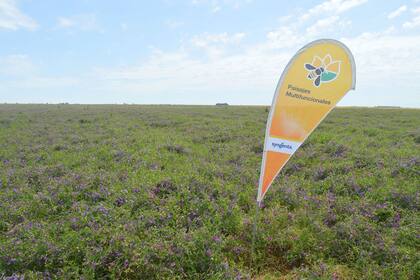 El lote donde se lleva adelante el proyecto Paisajes Multifuncionales