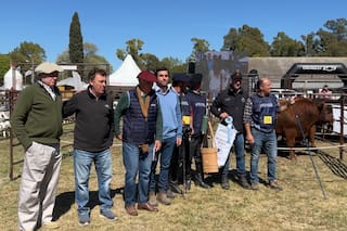 Se consagraron los puros controlados de la raza Angus